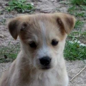 Meet your Posher, Kylan